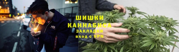прущие грибы Армянск