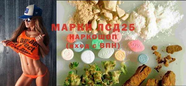 прущие грибы Армянск