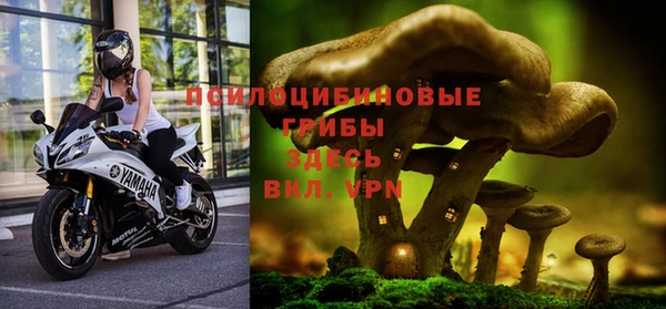 дживик Аркадак