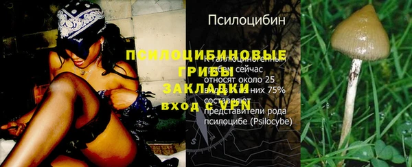 mdpv Арсеньев